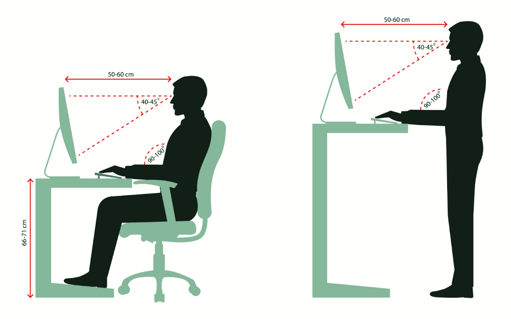 proper ergonomic posture shown for a seated desk position and a standing desk