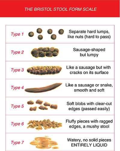 bristol stool chart