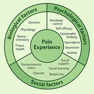 pie-chart-showing-the-biopsychosocial-model-of-pain