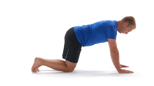 Plank exercise 1