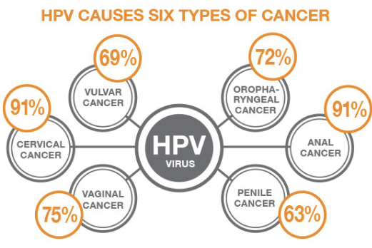 hpv causes these 6 types of cancers